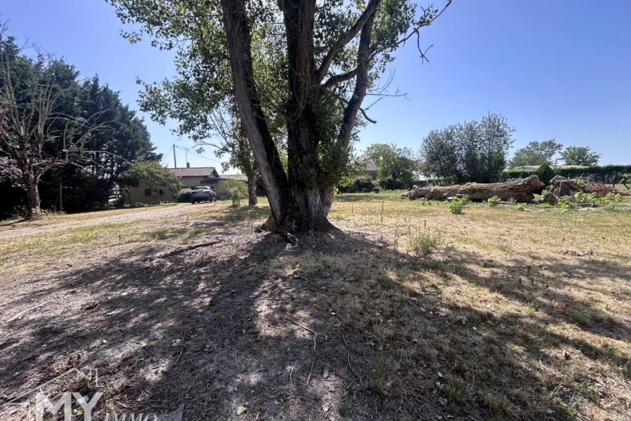 Maison à vendre à Massugas — Vue parc & jardin — photo 17