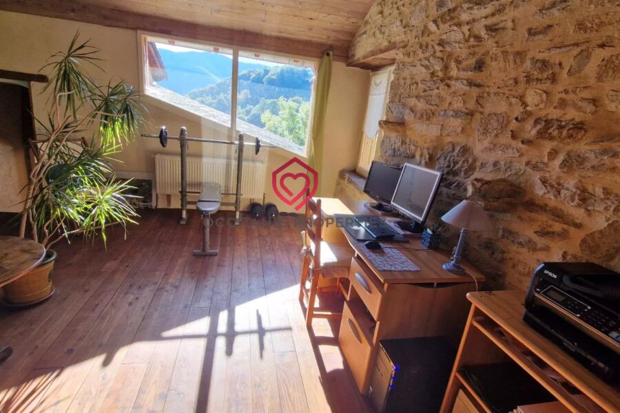Maison à vendre à Esplas-de-Sérou — Vue montagne — photo 12
