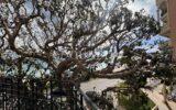 Appartement à vendre à Menton — Vue mer — photo 12