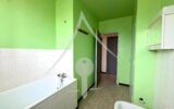 Maison à vendre à Lézat-sur-Lèze — Vue parc & jardin — photo 9