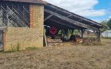 Maison à vendre à Mirande — Vue nature — photo 8