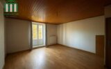 Maison à vendre à Saint-Étienne — Vue parc & jardin — photo 17
