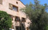 Appartement à vendre à Plascassier Village — Vue nature — photo 2