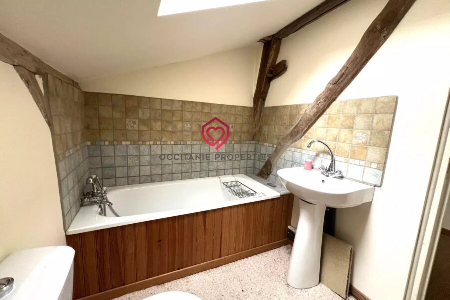 Maison à vendre à Aspet — Vue nature — photo 21