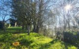 Maison à vendre à Limanton — Vue montagne — photo 19