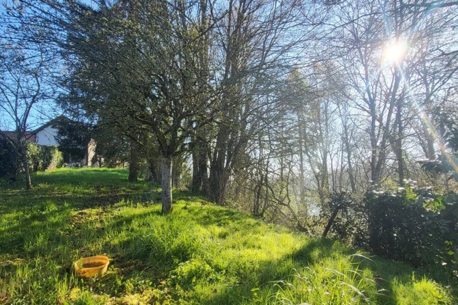 Maison à vendre à Limanton — Vue montagne — photo 19