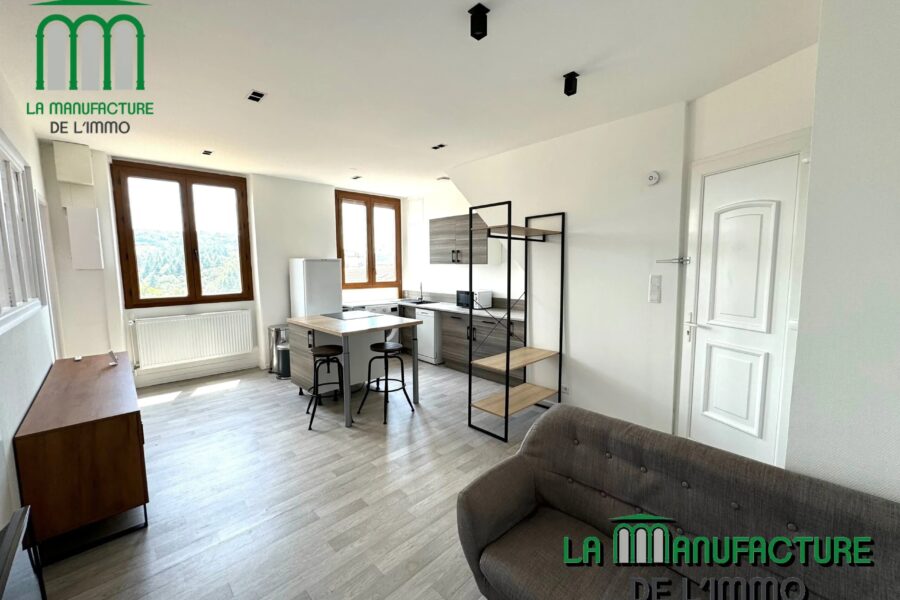 Appartement à louer à Saint-Étienne — Vue nature — photo 3
