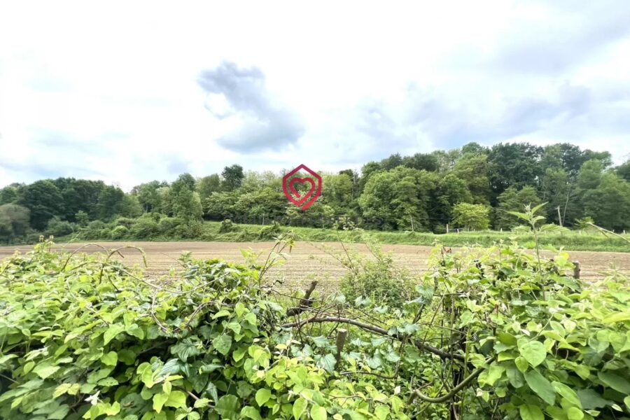 Maison à vendre à Aspet — Vue nature — photo 33