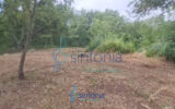 Terrain à vendre à Pougnadoresse — photo 10