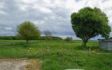 Terrain à vendre à Villeneuve-les-Genêts — photo 1