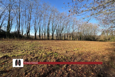 Terrain à vendre à Martillac