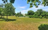 Maison à vendre à Thiré — Vue parc & jardin — photo 1