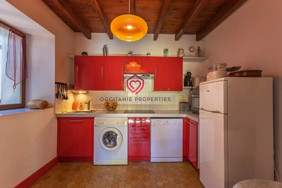 Maison à vendre à Belvèze-du-Razès — Vue parc & jardin — photo 13