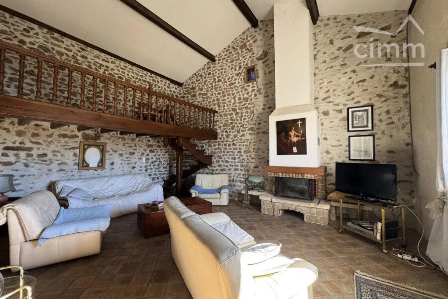Maison à vendre à La Chapelle-Agnon — Vue montagne — photo 6