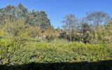 Maison à vendre à Albi — Vue nature — photo 19