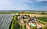 Maison à vendre à Carcassonne — Vue vignes — photo 1