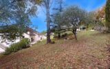 Maison à vendre à Puygouzon — Vue nature — photo 16