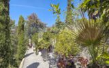 Maison à vendre à Cannes — Vue mer — photo 28
