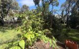 Terrain à vendre à Montpellier — Vue dégagée — photo 8