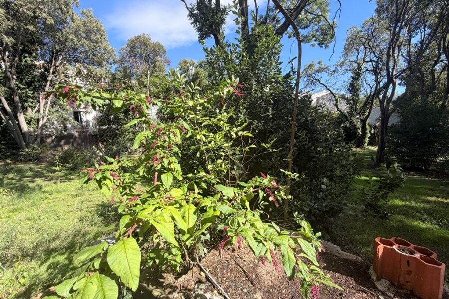 Terrain à vendre à Montpellier — Vue dégagée — photo 8