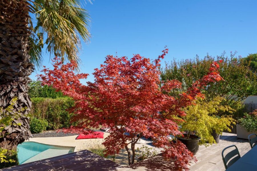 Maison à vendre à Juvignac — Vue parc & jardin — photo 21