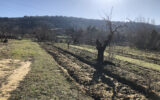 Maison à vendre à Bonnieux — Vue vignes — photo 5