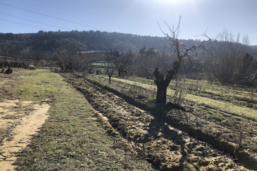 Maison à vendre à Bonnieux — Vue vignes — photo 5