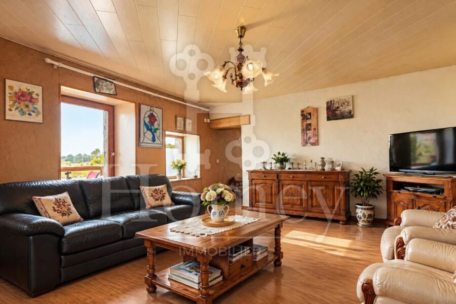Maison à vendre à Saint-Cergues — Vue nature — photo 9