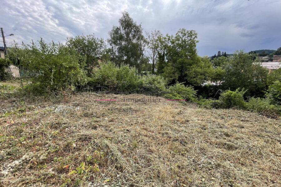 Terrain à vendre à Cours-la-Ville — Vue dégagée — photo 4