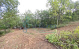 Terrain à vendre à Pougnadoresse — photo 12