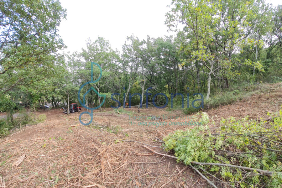 Terrain à vendre à Pougnadoresse — photo 12