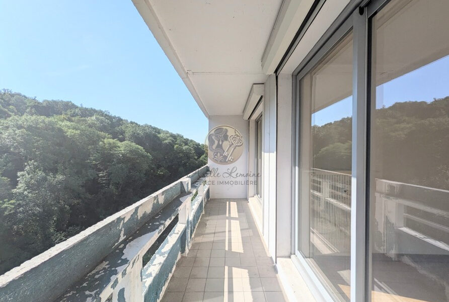 Appartement à vendre à Sainte-Foy-lès-Lyon — Vue nature — photo 4