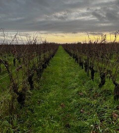 Terrain à vendre à Cravant-les-Côteaux