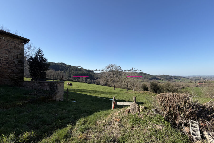 Maison à vendre à Cours-la-Ville — Vue nature — photo 15