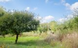 Terrain à vendre à Monthou-sur-Bièvre — Vue nature — photo 9
