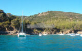 Appartement à vendre à Cavalaire-sur-Mer — Vue mer — photo 20