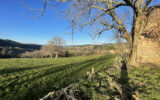 Maison à vendre à Cours-la-Ville — Vue nature — photo 12