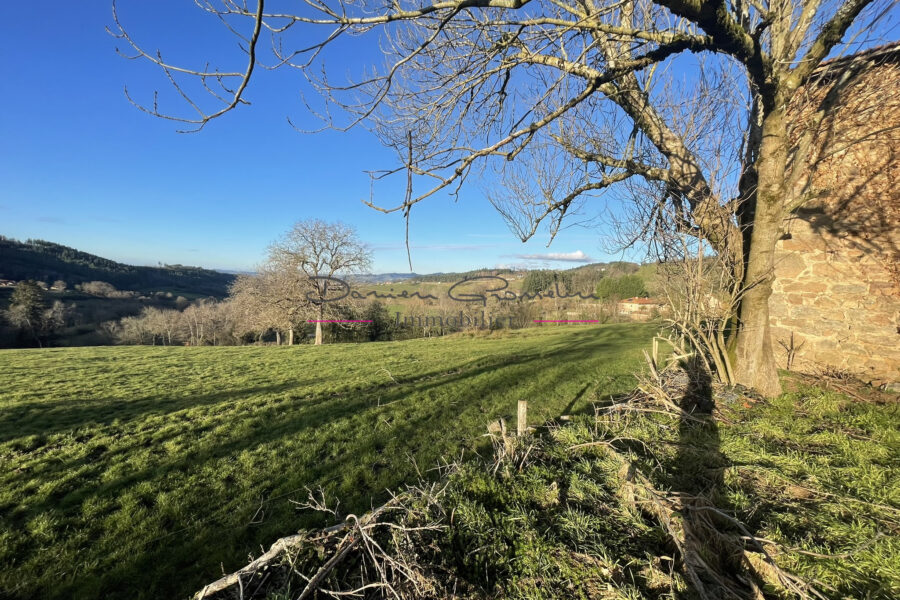 Maison à vendre à Cours-la-Ville — Vue nature — photo 12