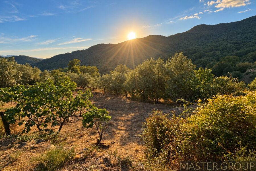 Terrain à vendre à Forciolo — Vue nature — photo 1