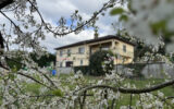 Maison à vendre à Amplepuis — Vue nature — photo 14