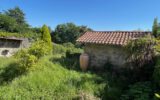 Maison à vendre à Montfort-en-Chalosse — Vue nature — photo 14