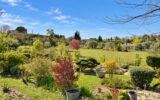 Maison à vendre à Tourrettes — Vue nature — photo 1