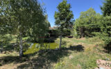 Maison à vendre à Charlieu — Vue nature — photo 11