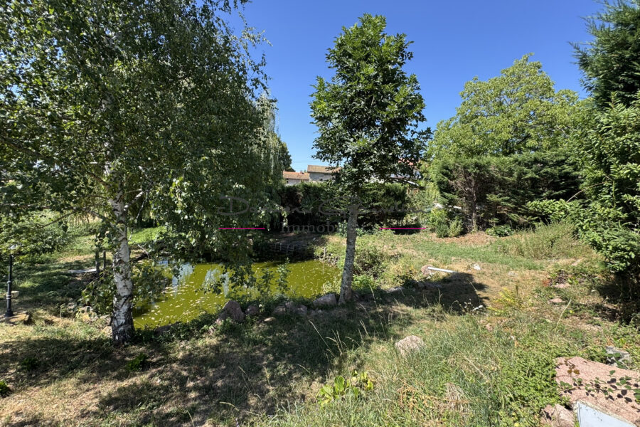 Maison à vendre à Charlieu — Vue nature — photo 11