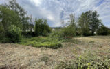 Terrain à vendre à Cours-la-Ville — Vue dégagée — photo 3