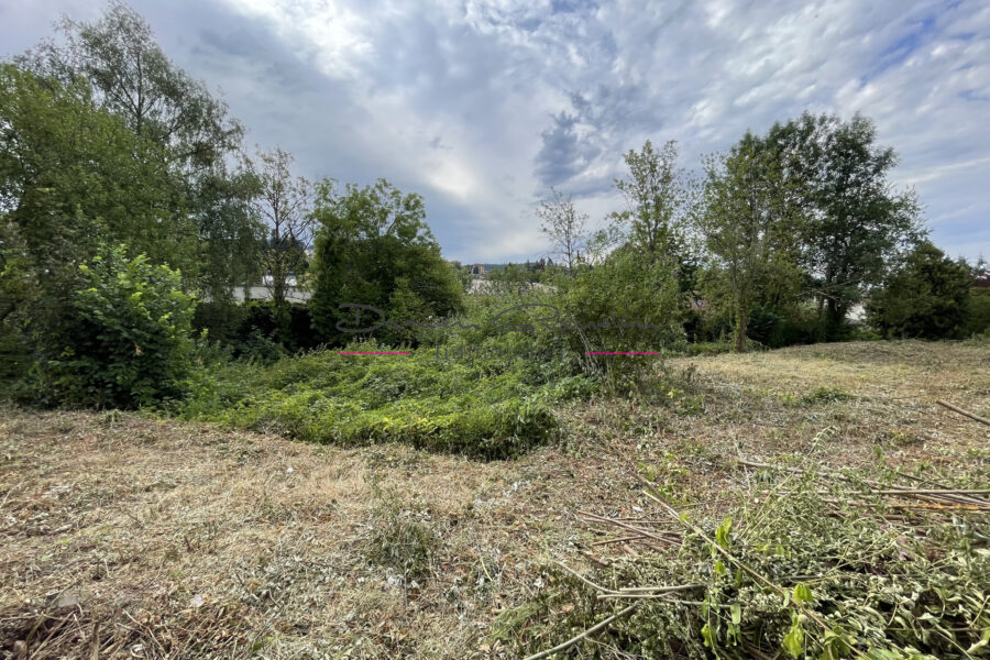 Terrain à vendre à Cours-la-Ville — Vue dégagée — photo 3
