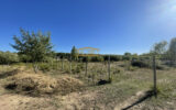 Terrain à vendre à Fabrègues — Vue nature — photo 13