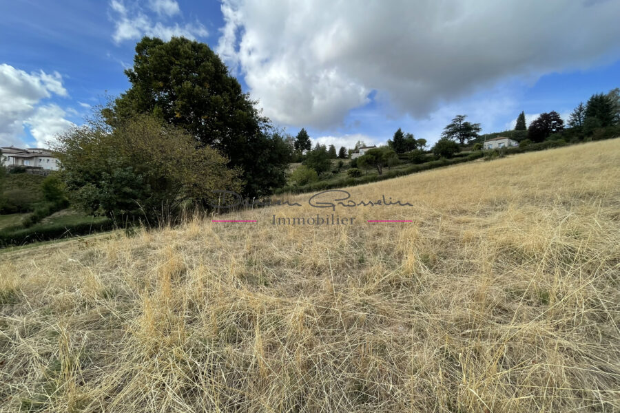 Terrain à vendre à Cours-la-Ville — Vue nature — photo 3