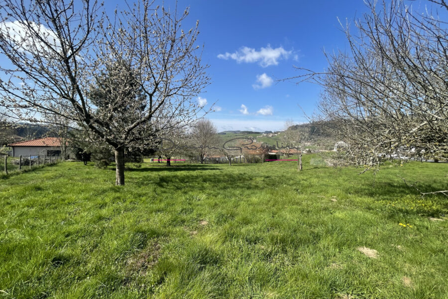 Terrain à vendre à Cublize — Vue nature — photo 2