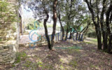 Maison à vendre à Uzès — Vue nature — photo 16